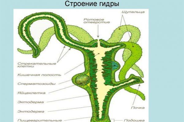 Как зайти в кракен с андроида