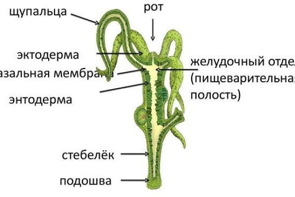 Kraken сайт зеркала krakens15 at