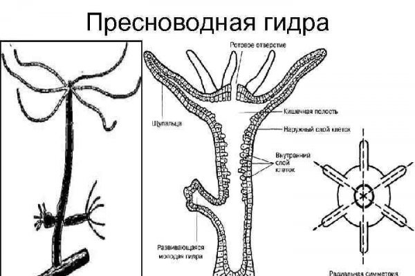 Кракен официальный сайт krakens13 at