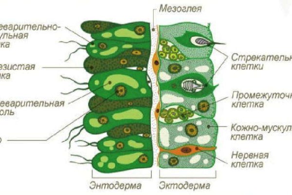 Кракен это наркозависимость