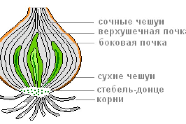 Kraken 15at сайт